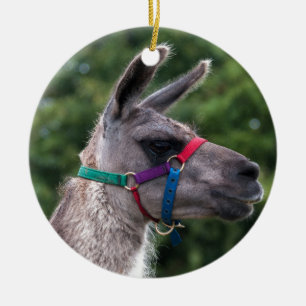 Llama Superiority Ceramic Tree Decoration