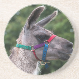 Llama Superiority Coaster