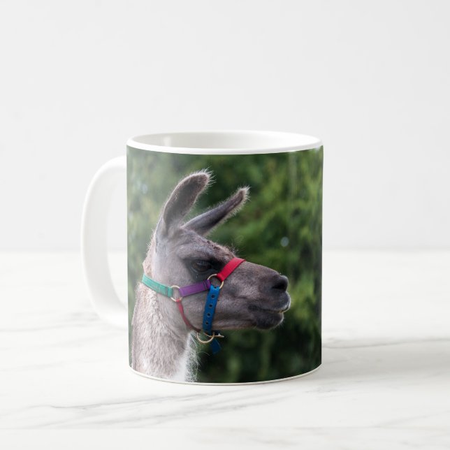 Llama Superiority Coffee Mug (Front Left)