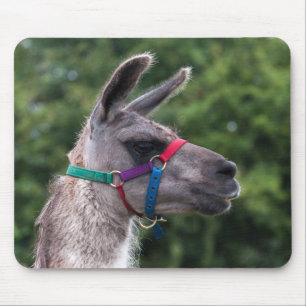 Llama superiority mouse mat