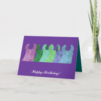 Llama Sweet Pea: The Wise Matriarch Llama Card