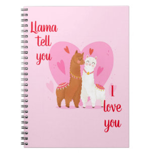 Llama Tell you Notebook