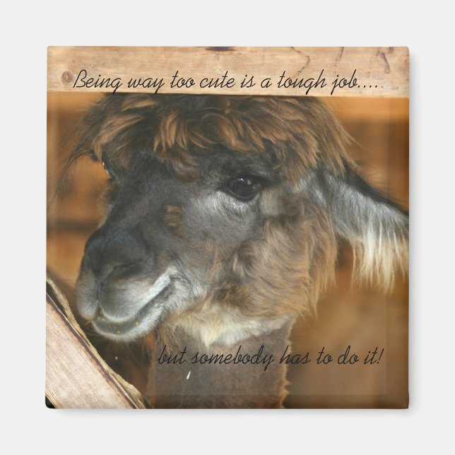 Llama Too Cute Funny Animal Magnet (Front)