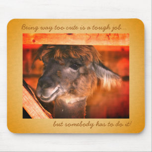 Llama Too Cute Funny Animal  Mouse Mat
