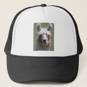 Llama Trucker Hat
