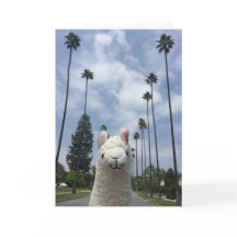 Llama With No Drama Greeting Card