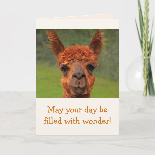 Llama Wonder Birthday Card (Front)