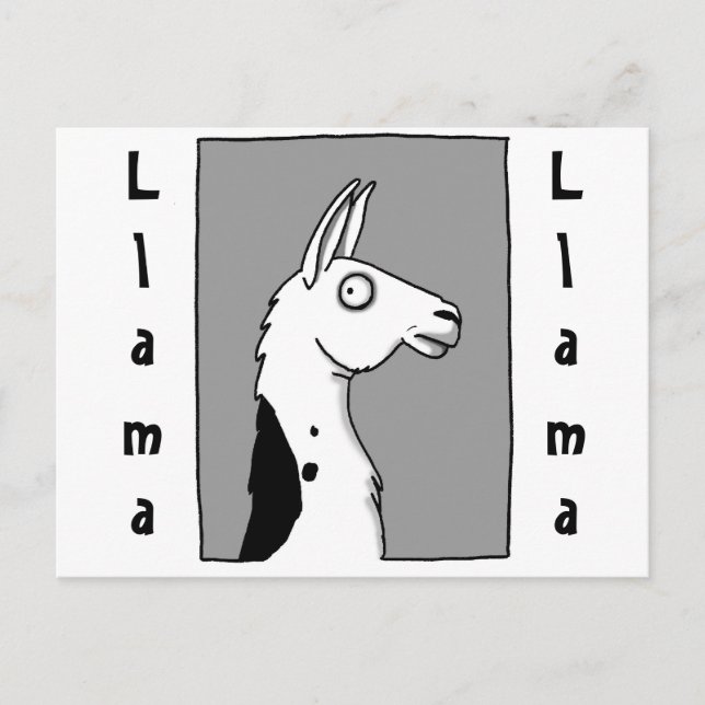 LlamaLlama Postcard (Front)