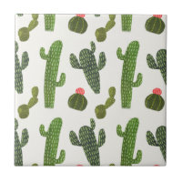 Llamarama Collection | Cute Cactus