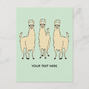 Llamas Add Your Own Text Message Postcard
