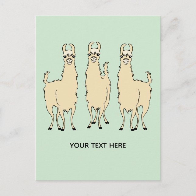 Llamas Add Your Own Text Message Postcard (Front)