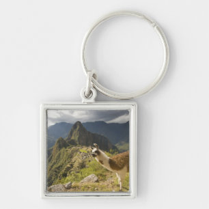 LLamas and an over look of Machu Picchu, Key Ring