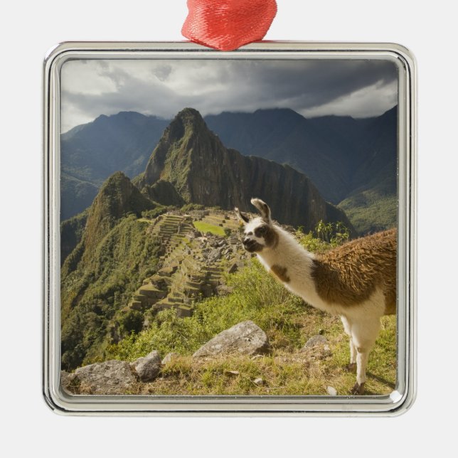 LLamas and an over look of Machu Picchu, Metal Tree Decoration (Front)