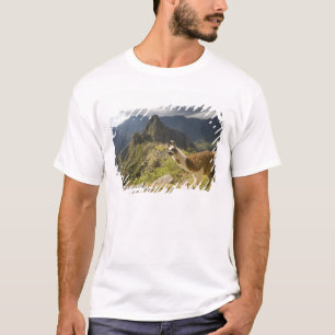 LLamas and an over look of Machu Picchu, T-Shirt