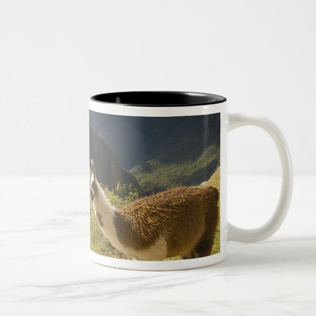 LLamas and an over look of Machu Picchu, Two-Tone Coffee Mug (Right)