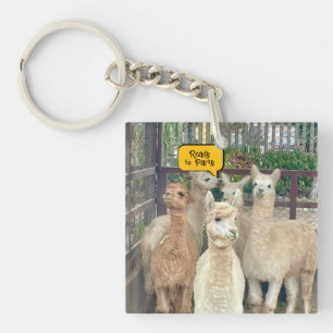Llamas are from Peru on this keychain