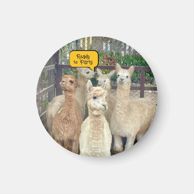 Llamas are from Peru on this magnet (Front)
