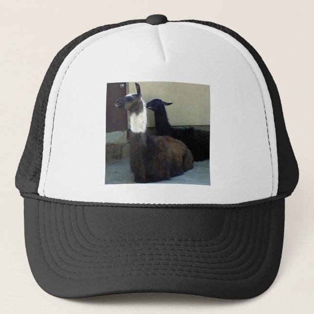 Llamas as the Zoo image Trucker Hat (Front)