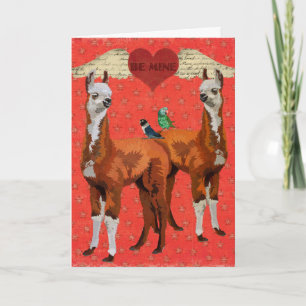 LLAMAS & FEATHERS Heart Valentine Card