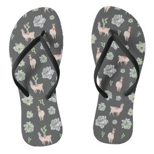 Llamas in the desert with cacti and amaryllis flip flops