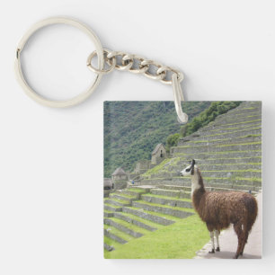 llamas key ring
