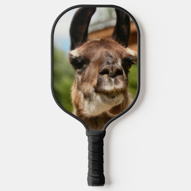 Llamas  pickleball paddle (Front)