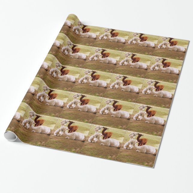 Llamas With Baby Cria Wrapping Paper (Unrolled)