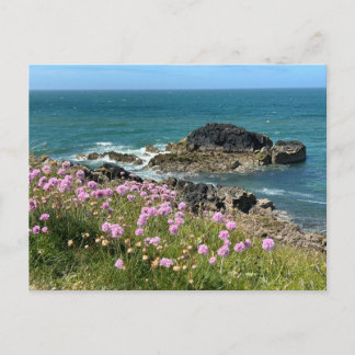 Llanddwyn Anglesey Postcard