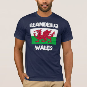 Llandeilo, Wales with Welsh flag T-Shirt