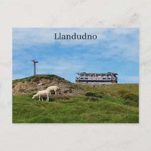 Llandudno - Great Orme Postcard