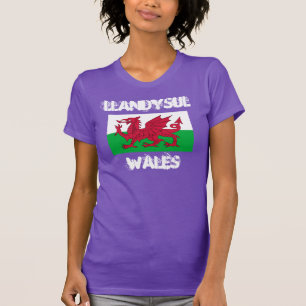 Llandysul, Wales with Welsh flag T-Shirt