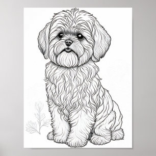 Llasa Apso Dog Adult Colouring Poster