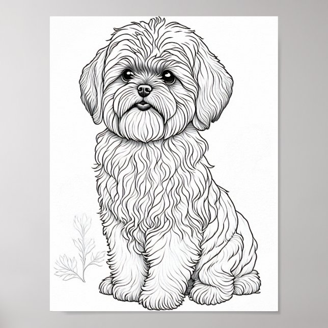 Llasa Apso Dog Adult Colouring Poster (Front)