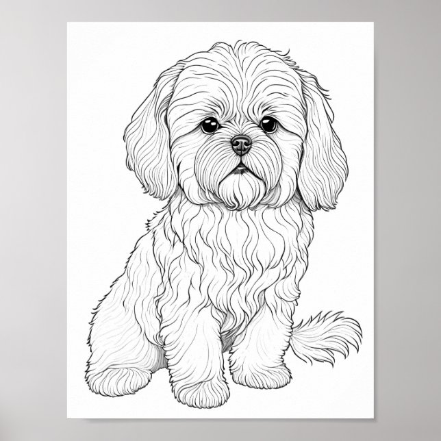 Llasa Apso Dog Adult Colouring Poster (Front)