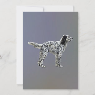 LLewellin Setter