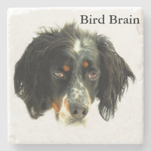 Llewellyn Setter Bird Brain Stone Coaster