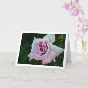 Llilac Rose Portrait Card