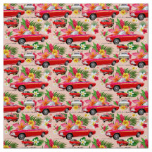 LM Corvair Car—coral