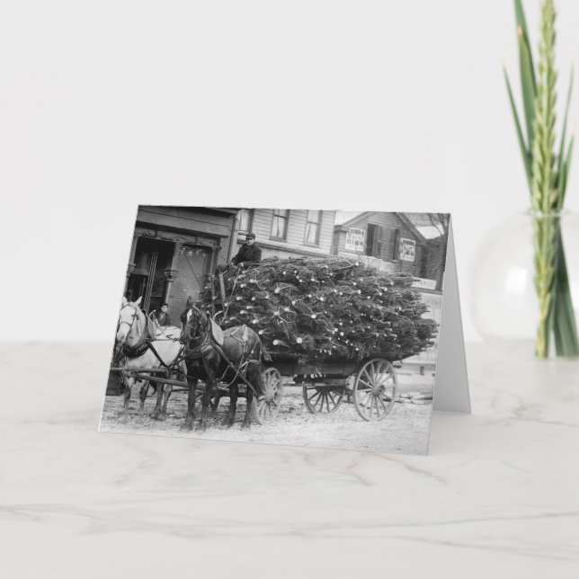 Load of Xmas Trees, 1910 Holiday Card (Front)