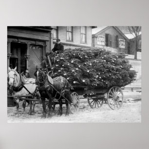 Load of Xmas Trees, 1910 Poster