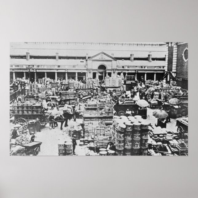 Loading Fruit at Covent Garden Market, 1900 Poster (Front)