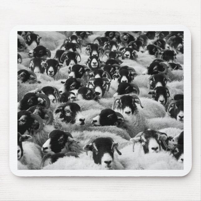 LOADS of Rams Sheep Black and White Mouse Mat (Front)