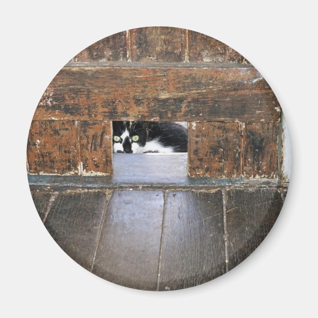 Lobo - 2¼ Inch Round Magnet (Front)
