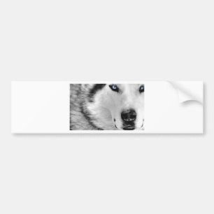 Lobo Bumper Sticker