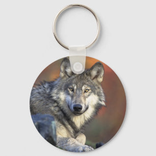 Lobo Gris Key Ring
