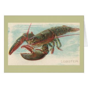 Lobster