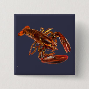 Lobster 15 Cm Square Badge