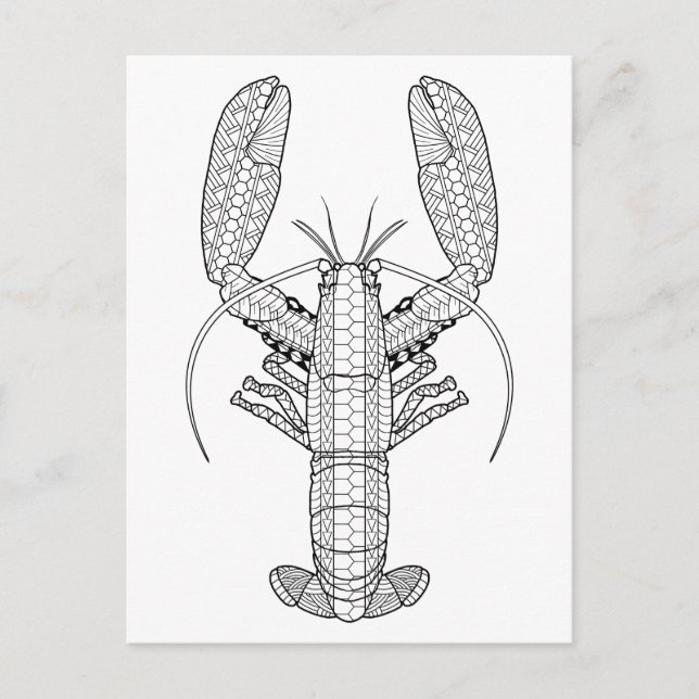 Lobster Adult Colouring Postcard (Front)