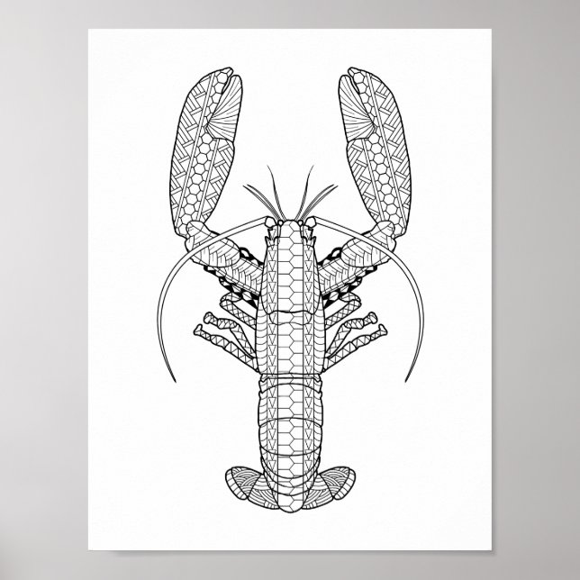 Lobster Adult Colouring Poster (Front)