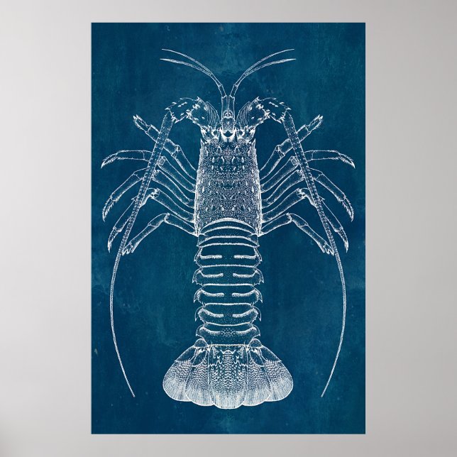 Lobster Blueprint Poster (Front)